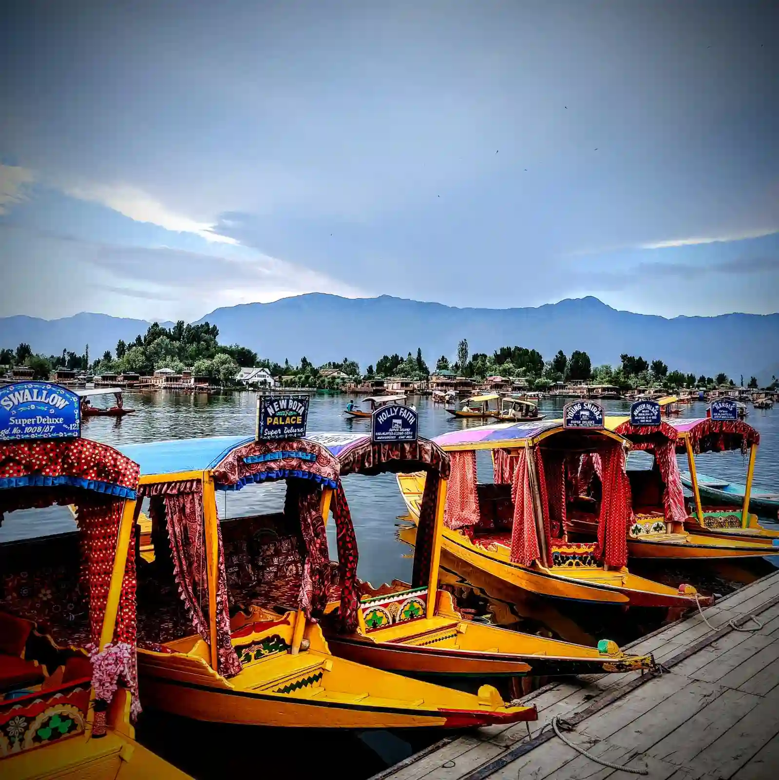 Dal Lake Srinagar honeymoon